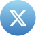 x icon